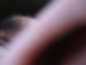 DSCF2732