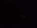 DSCF2403