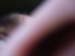 DSCF2732