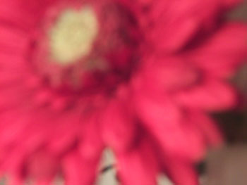 DSCF4730