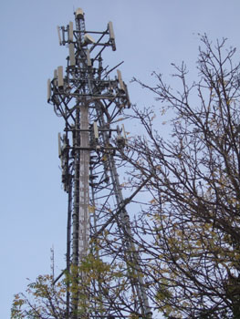 DSCF4770