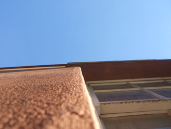 DSCF4875
