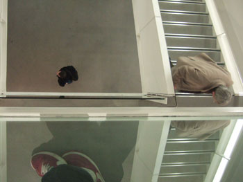 DSCF5022