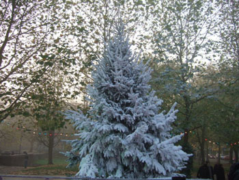 DSCF5011