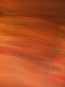 DSCF5248