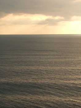 DSCF5477