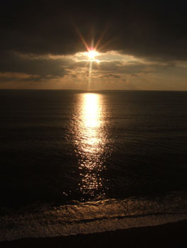 DSCF5480