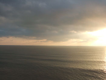 DSCF5488