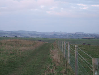 DSCF5505