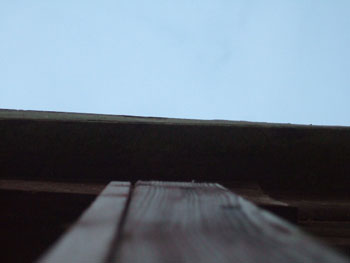 DSCF5527