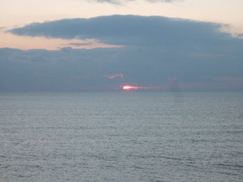 DSCF5531