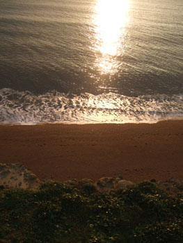 DSCF5479