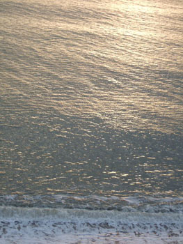 DSCF5498