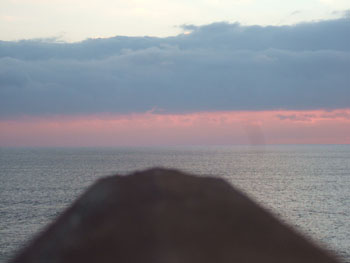 DSCF5526
