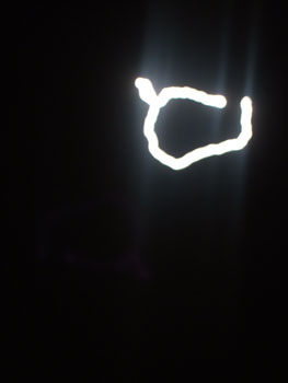 DSCF6135