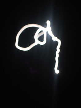 DSCF6153