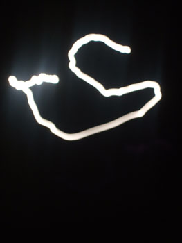 DSCF6155