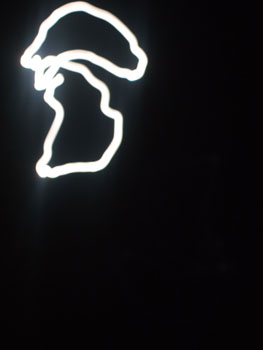 DSCF6171