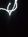 DSCF6166