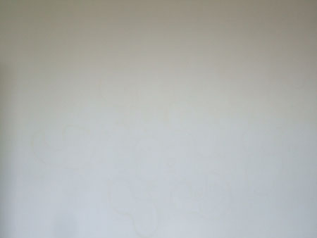 DSCF2932