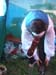 DSCF3907