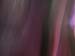 DSCF4016