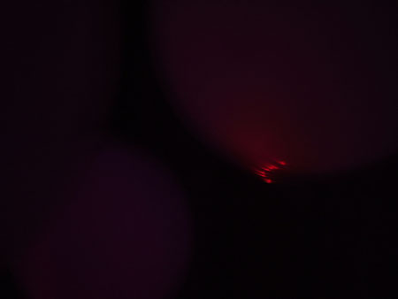 DSCF5098