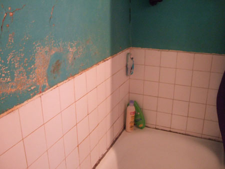DSCF0977