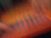 DSCF0886