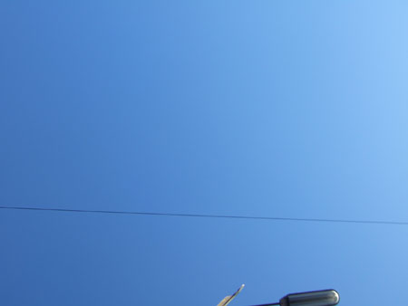 DSCF9655
