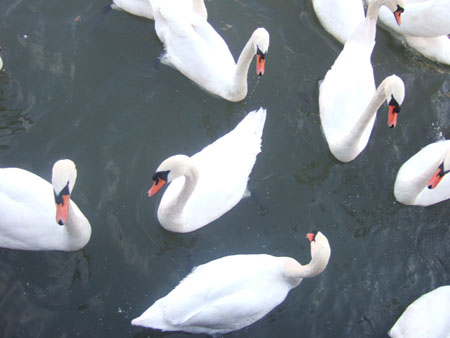 DSCF9759