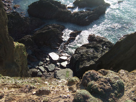DSCF1523