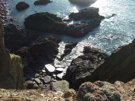 DSCF1524