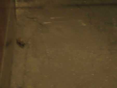 DSCF0743