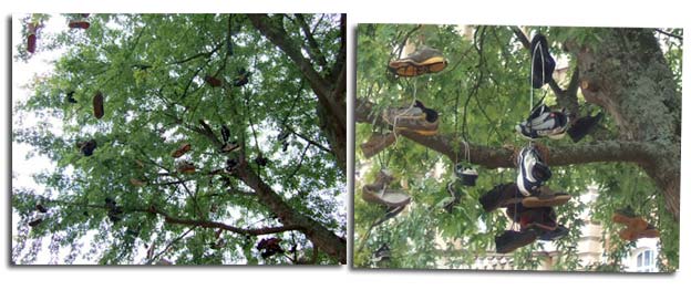 shoe tree